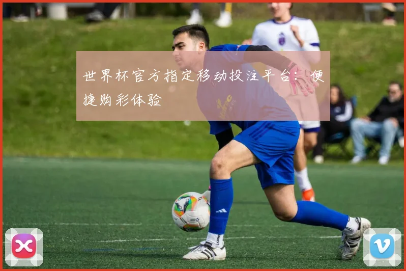 世界杯官方指定移动投注平台：便捷购彩体验