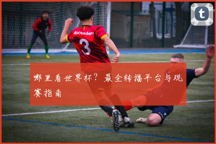 哪里看世界杯？最全转播平台与观赛指南
