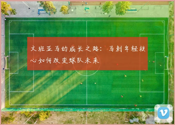 文班亚马的成长之路：马刺年轻核心如何改变球队未来
