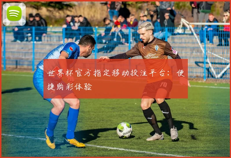 世界杯官方指定移动投注平台：便捷购彩体验