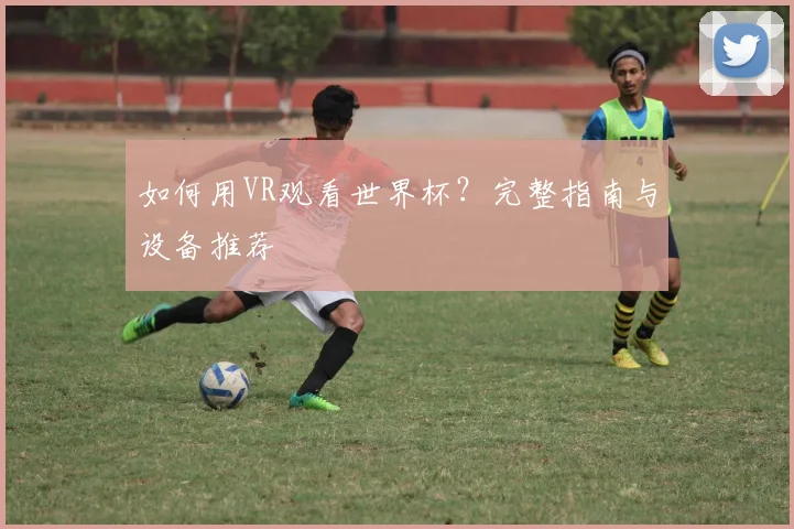 如何用VR观看世界杯？完整指南与设备推荐
